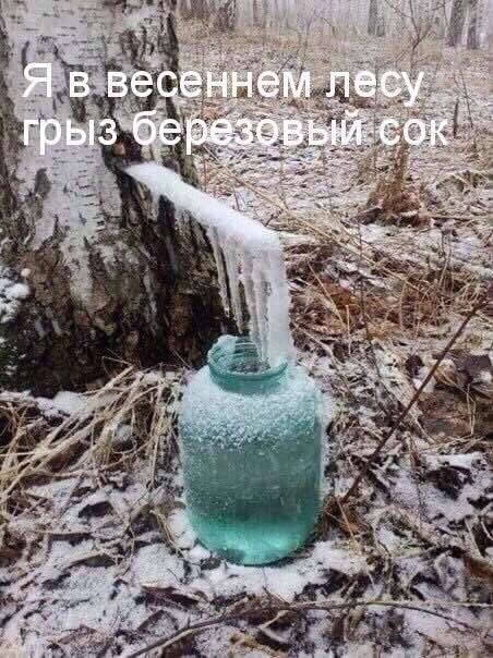 Напейся - не облейся!