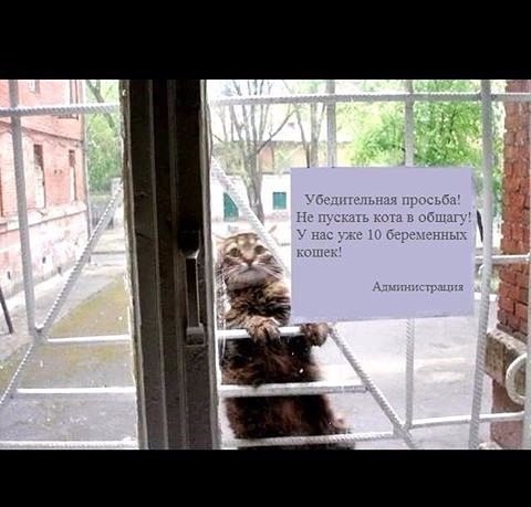 Веснааааа