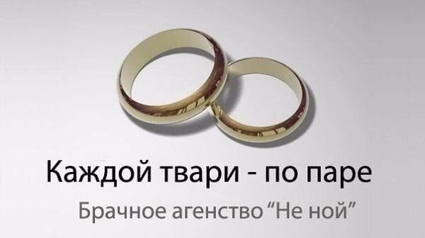 Не ной, если не мой...