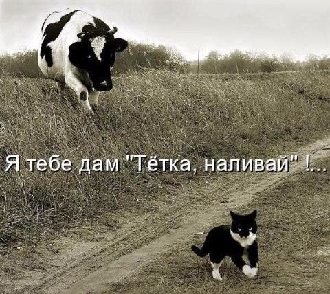 Эй, мажоры, граница где?