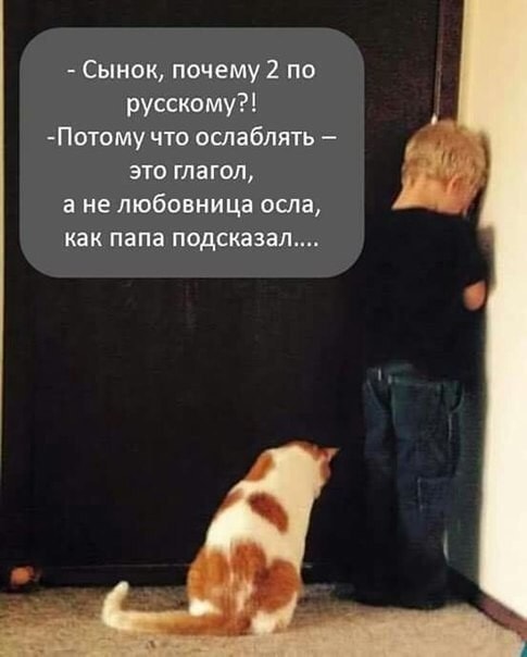 Папа такой, папа может...