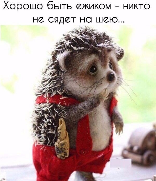 Няшность