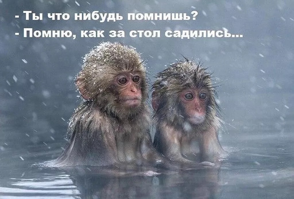 Утро добрым не бывает