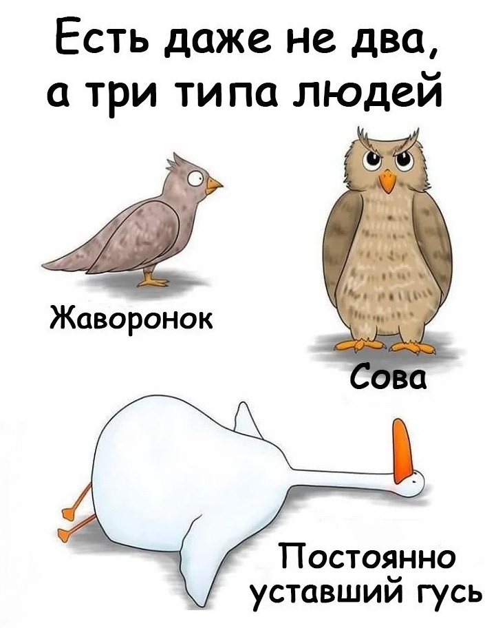 Типы людей