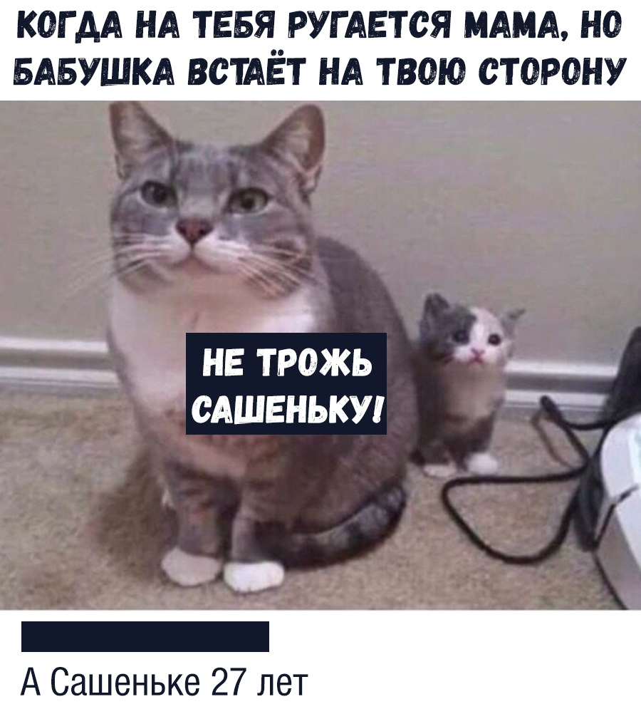 Защитница моя