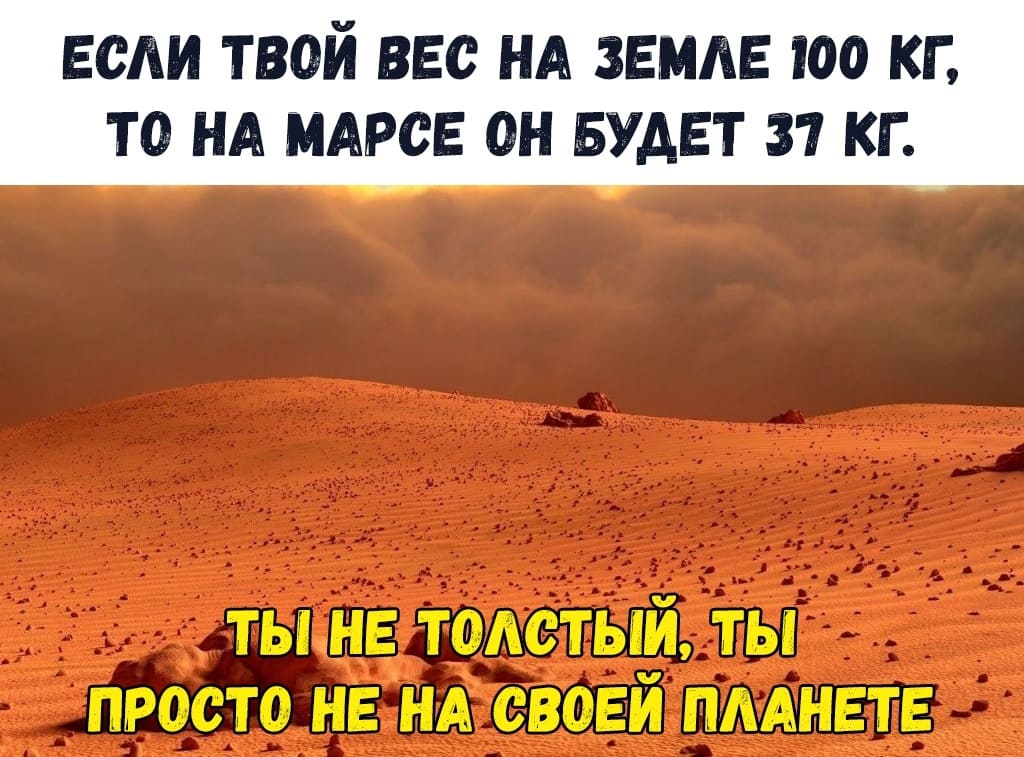 Ты не толстый