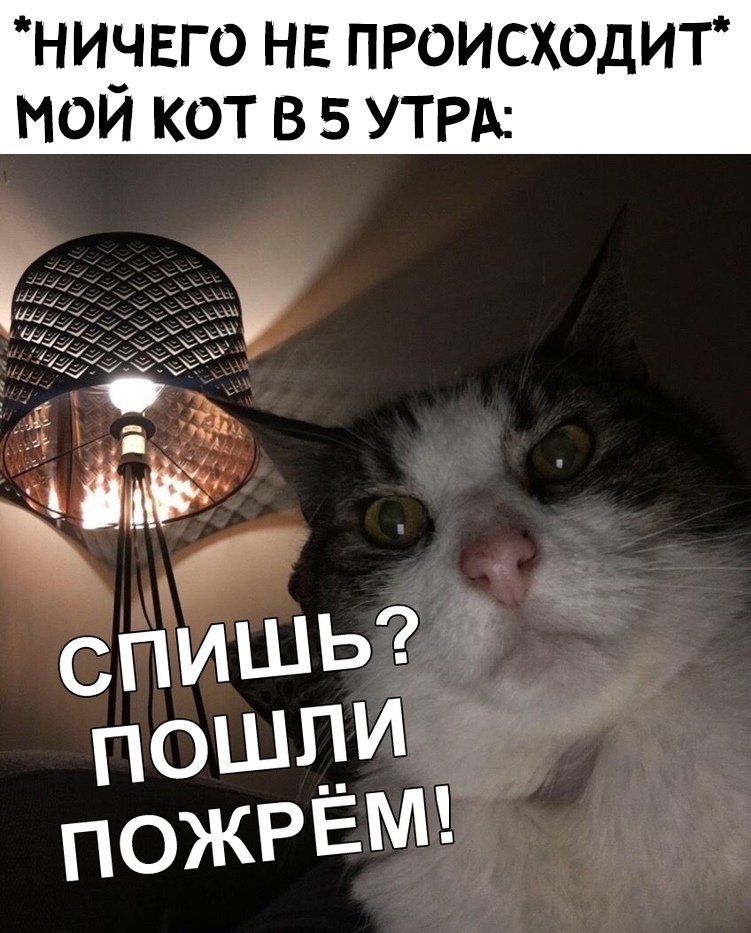 Пошли пожрём