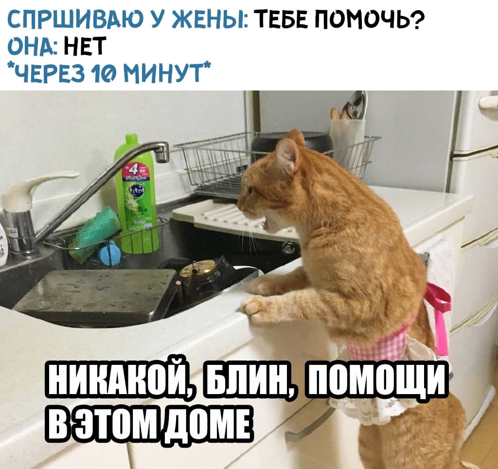 Никакой помощи