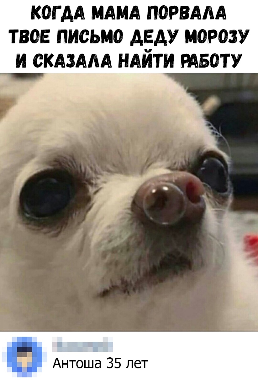 Мама сказала