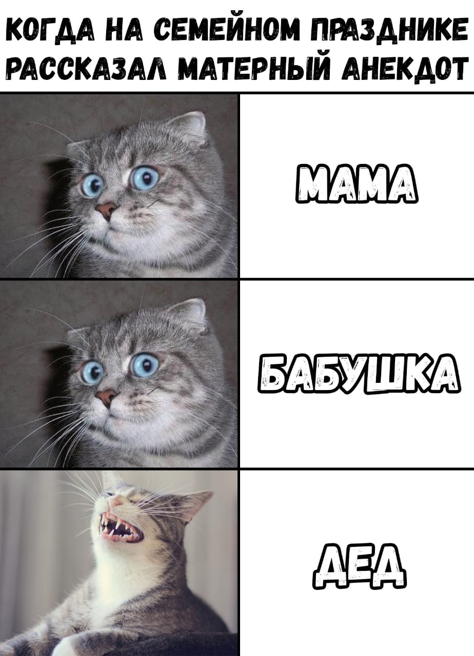 Рассказал анекдот