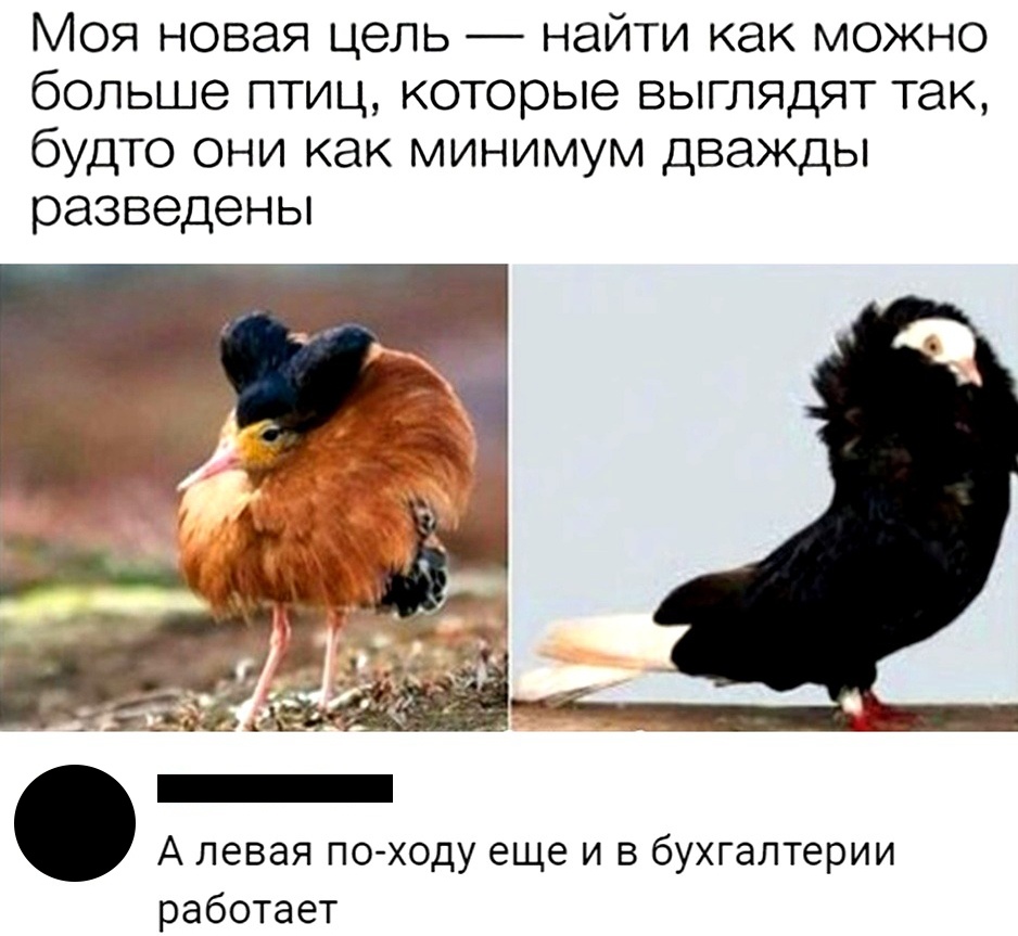 Как минимум дважды разведена