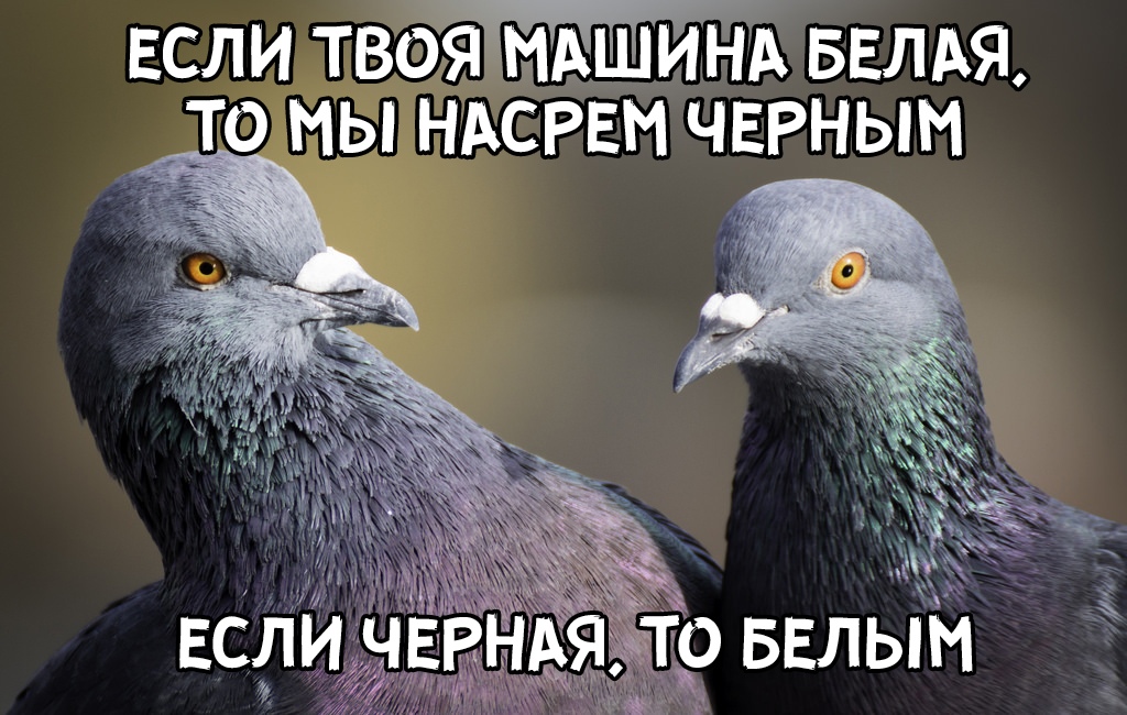 Чёрным по белому.Белым по чёрному