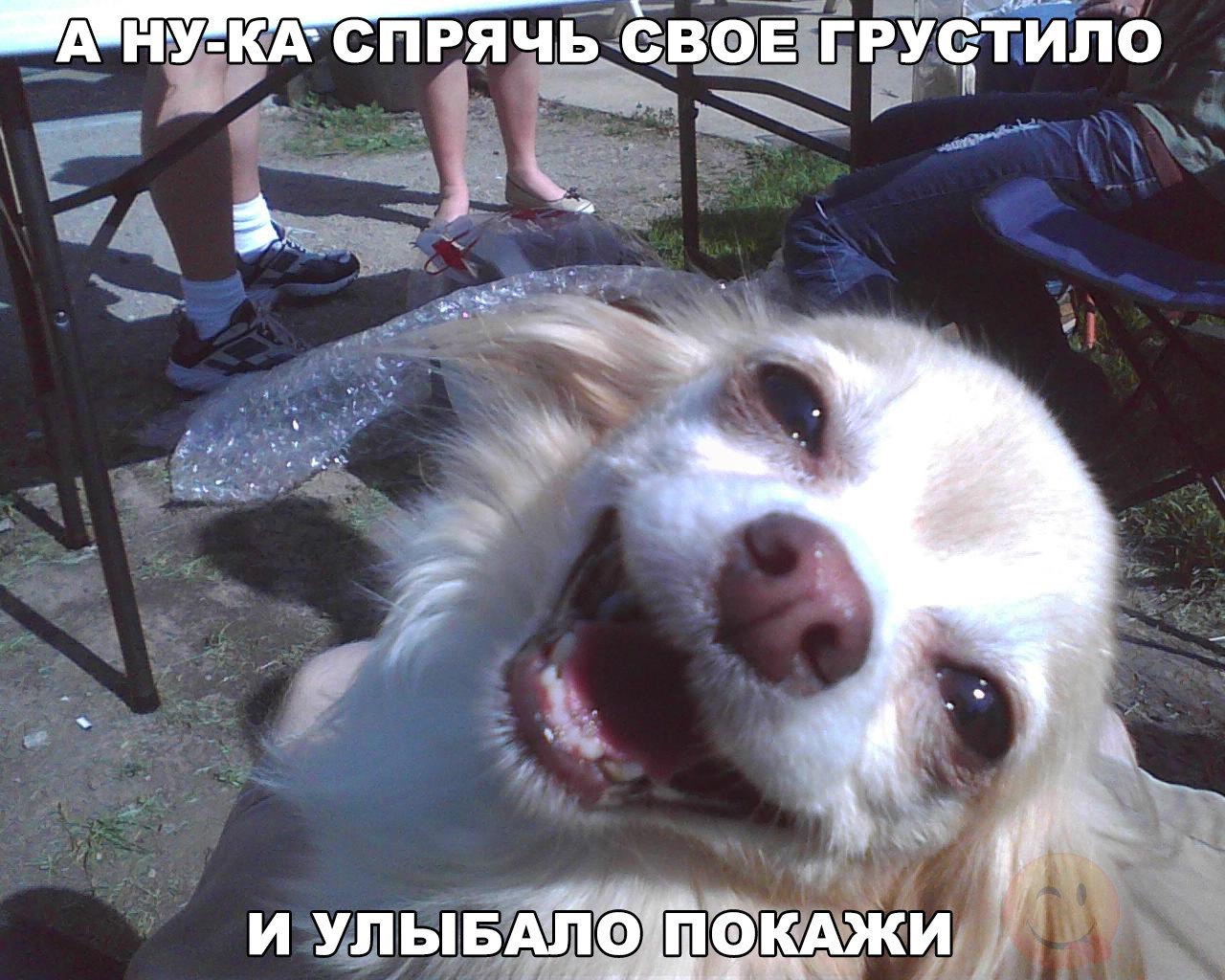 Улыбашки