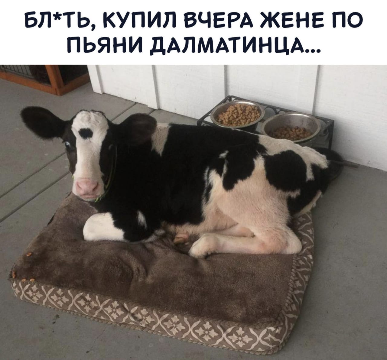 Лучший мой подарочек