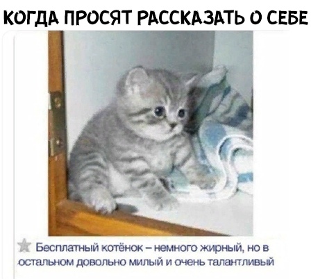 Просто котёнок