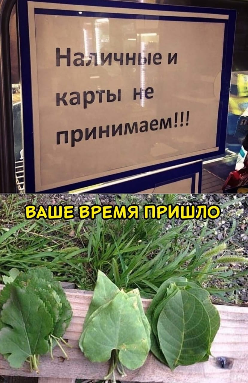 время пришло!!!