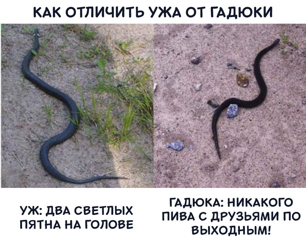 Найди отличия