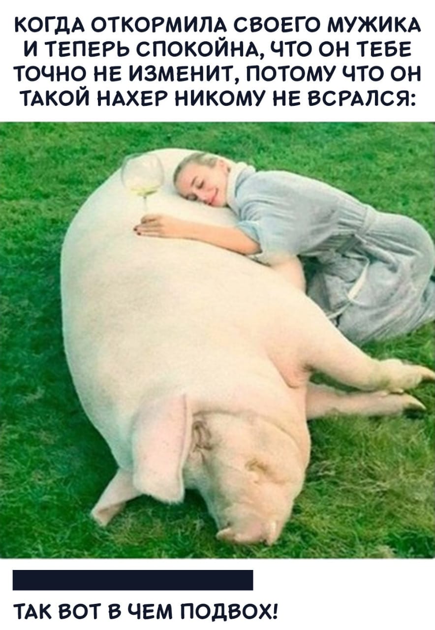 Откормила
