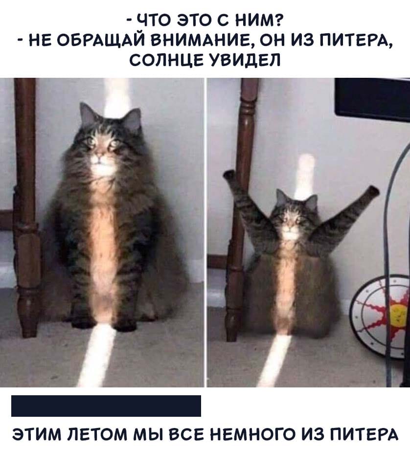 лето Питера