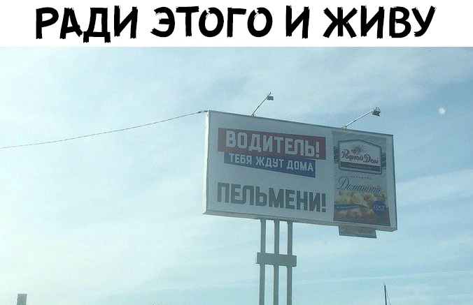 Спешу к вам любимые