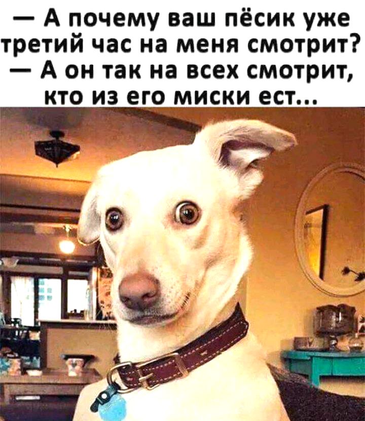 Еда-святое