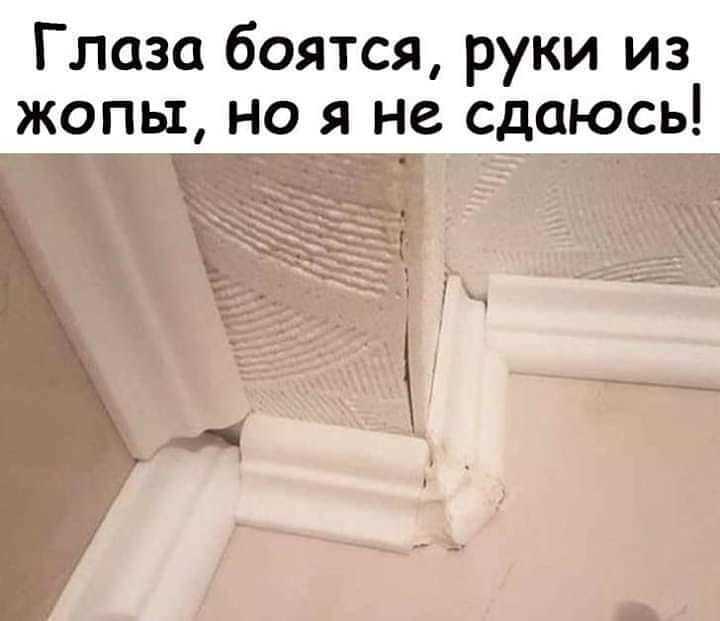Иногда народная мудрость не срабатывает