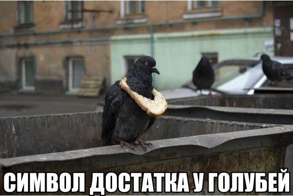 Мажор