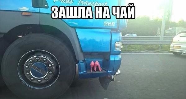 У меня гости