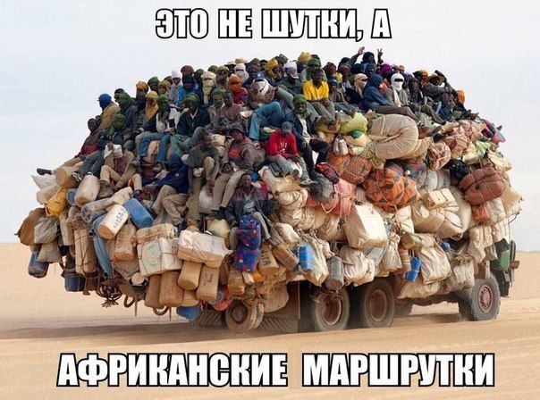 Это вам не шутки
