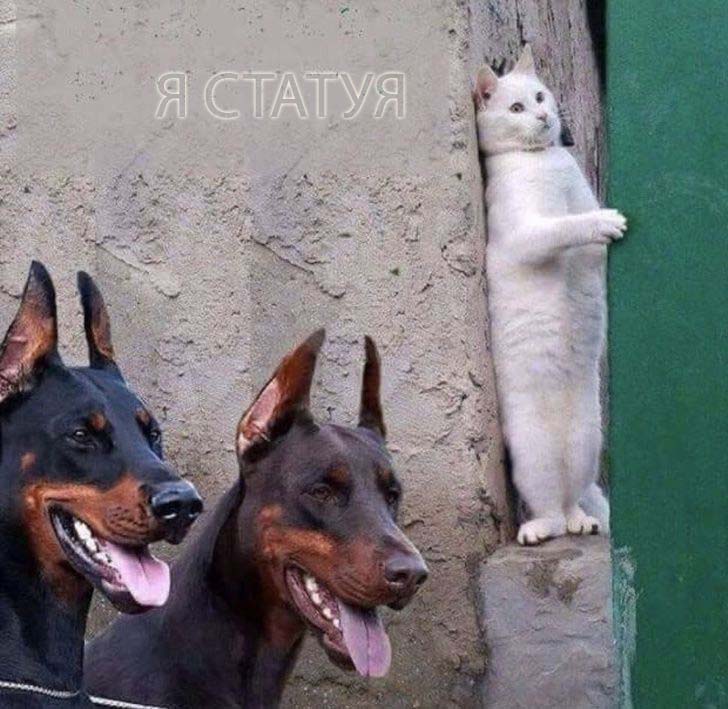 я статуя