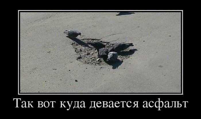 Похитители асфальта