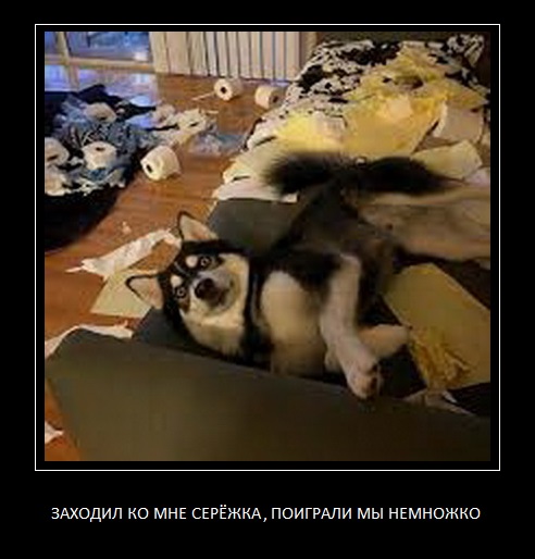ЭТО НЕ Я, ОН САМ ПРИШЕЛ