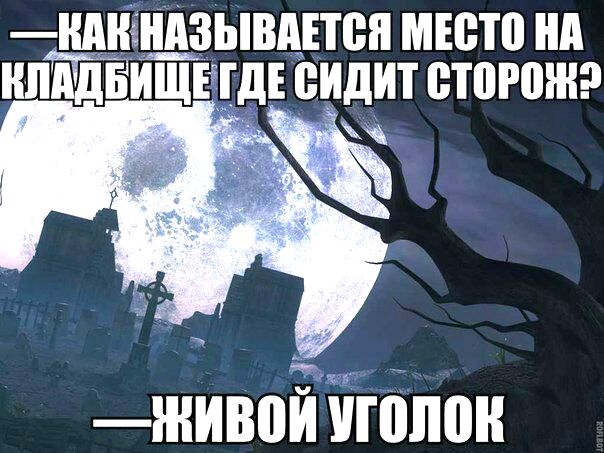 Живой уголок