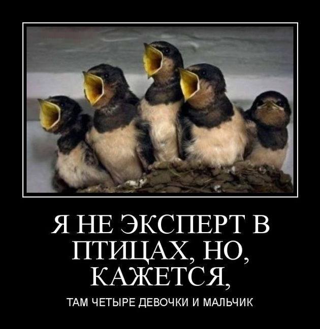 Не эксперт