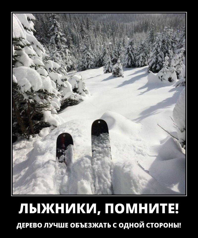 Лыжи