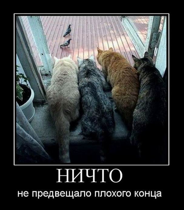 Затишье