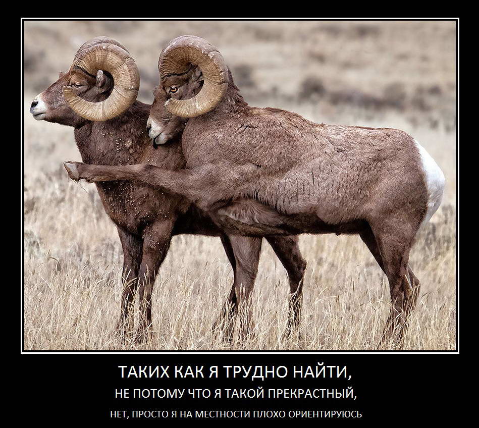 Трудно найти