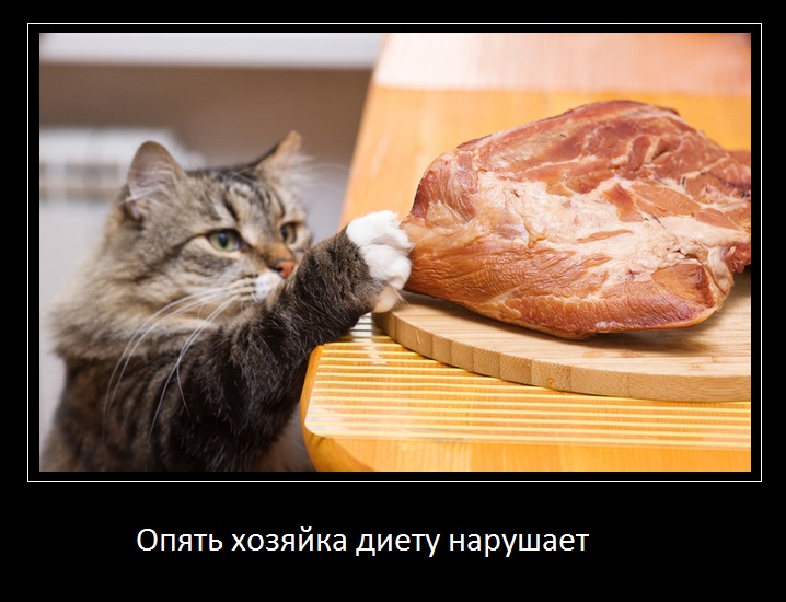 Помочь хозяйке