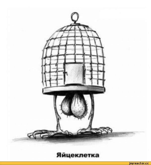 Клетка