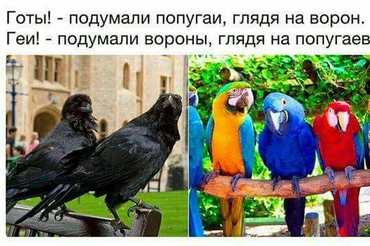 Современное общество