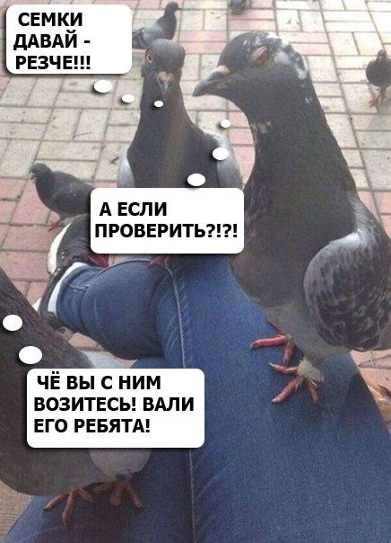 Наглость - второе счастье