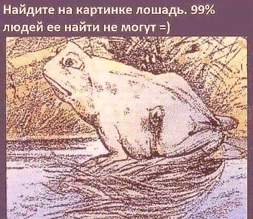 Найди лошадь