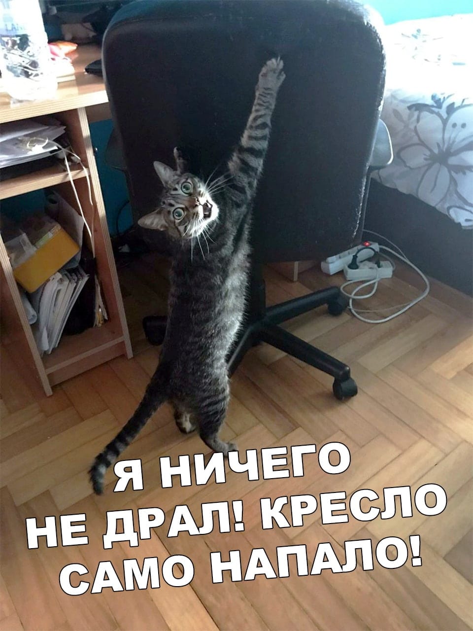 Не виноватая я