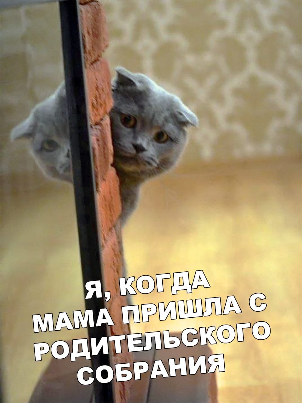 Мам,не ругай
