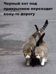 под прикрытием