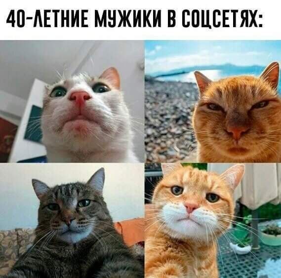 На охоте