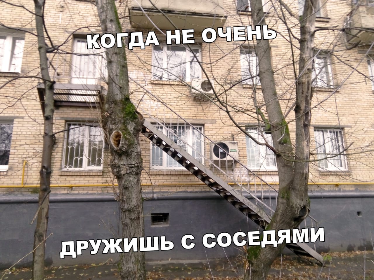 Не люблю соседей