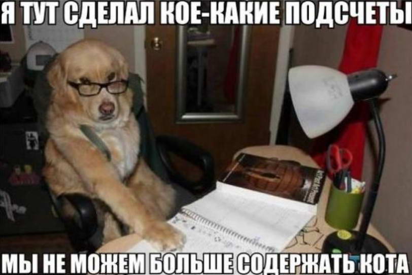 Настоящий главбух