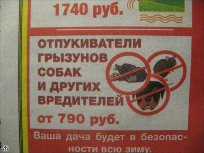 Главное результат