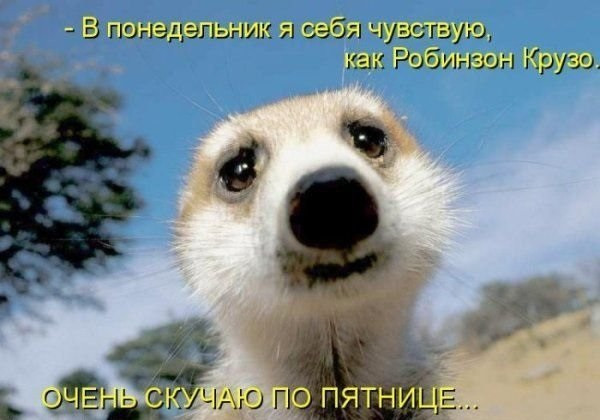 Понедельник